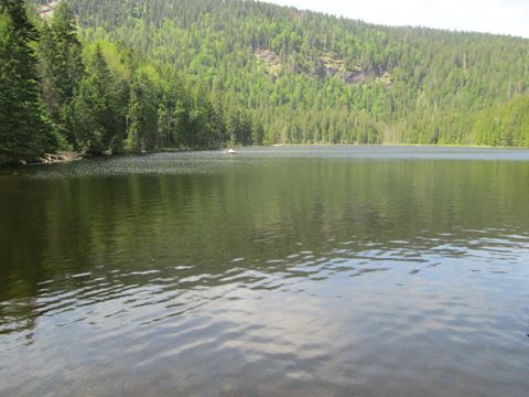 Foto 15